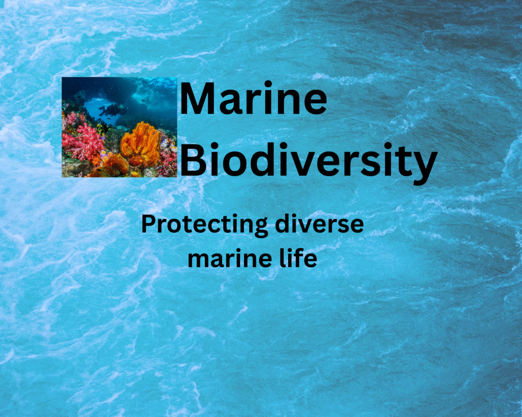 marine biodiversity